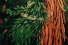 WhatsApp-Image-2019-07-14-at-07.59.12