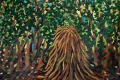 WhatsApp-Image-2019-07-14-at-07.59.14